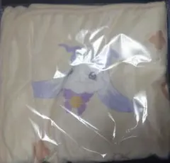 Twinkle Gifts ~ウィンターデート2025~ ブランケット ルンルン