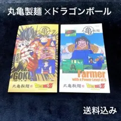丸亀製麺　ドラゴンボール　コラボ　うどん札　第二弾　シークレット他　2枚セット