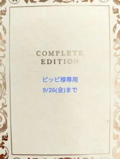 ピッピ様専用　シマエナガ　インコ　文鳥　コンパクトミラー　レジン