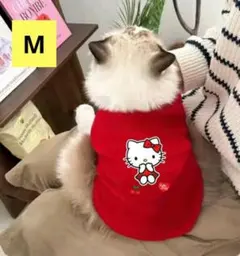 kodaka815様 リクエスト 2点 まとめ商品