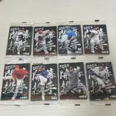 プロ野球チップス 2024第２弾&2025第1弾 8枚入り×18(144枚)