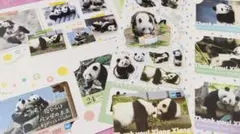 東京メトロ シャンシャン 24時間券 オリジナルセット 上野動物園 上野パンダ