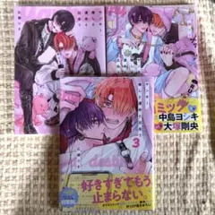 ヤンキー、推しと運命と出会う1・2・3巻 特典(小冊子、ビジュアルボード)付き