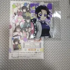 鬼滅の刃 全集中展 ランダムアクリルマグネット 胡蝶しのぶ