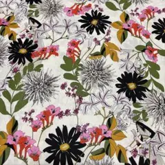 アレキサンダーヘンリー生地✩.*˚45cmx110cm