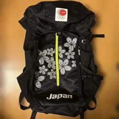 Item thumbnail for item 3b94e679-2c87-4237-a704-3eccb5d47f3a