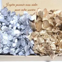 Item thumbnail for item 53295418-026c-4c78-bfab-49bd899ea2bd