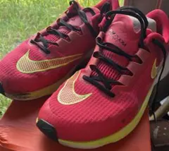 Nike Zoom RIVAL FLY ズームライバルフライ 26.5