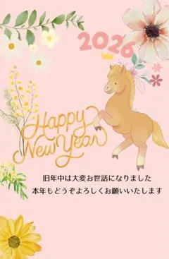 匿名配送！年賀はがき 2026年 年賀状10枚 午年ディズニー年賀状