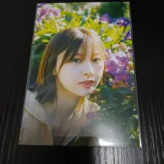 日向坂46 富田鈴花 1st写真集 鈴花サーキット 卒業メッセージカード