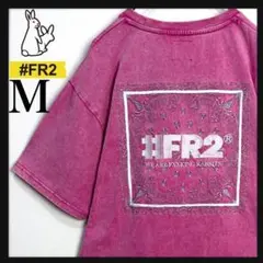 即完売デザイン】FR2 ペイズリー 刺繍ロゴ Tシャツ ピグメント 極美品