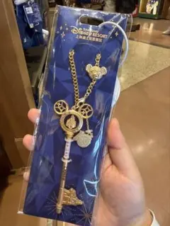 上海ディズニーリゾート キーホルダー 10thのサムネイル