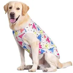 Item thumbnail for item 6deb7d63-95f0-41df-887a-9208fa8346d5