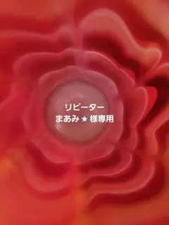 まあみ⭐️様専用