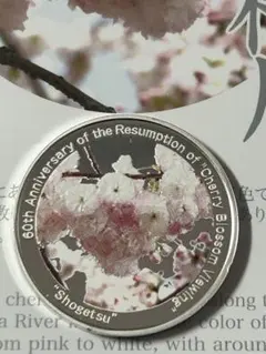 2026年最新】桜の通り抜け 銀の人気アイテム - メルカリ