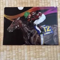 競馬　ミックファイア　第69回東京ダービー クリアファイル