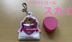 未使用　パウパトロール　スカイ　反射キーホルダー