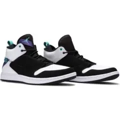 新品未使用《黒タグ付き》NIKE Jordan Fadeaway