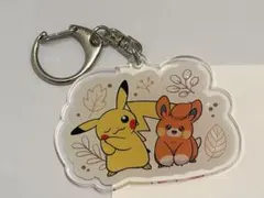 【美品】ポケモン＊アクリルキーホルダーのサムネイル