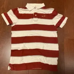 ホリスター　ポロシャツ 日本国旗　ラグビー日本代表