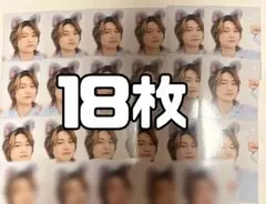 今野大輝　Myojo 厚紙 わんにゃんカード 18枚