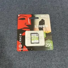 Kingston Canvas Select Plus 256GB