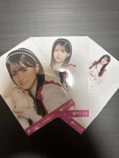 瀬戸口心月 アリスコーデ 3種コンプ 乃木坂46 生写真