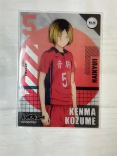 ハイキュー‼︎クリアカードコレクション音駒高校　孤爪研磨