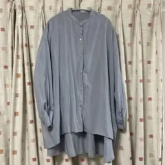 ストライプインターナショナル サックス 長袖シャツ F