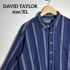 【US古着】DAVID TAYLOR ボタンダウン ストライプ ネルシャツ