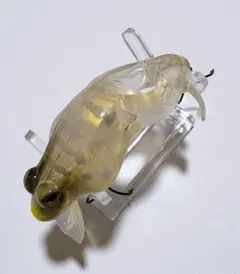 Item thumbnail for item b5744a77-7c26-408e-bbbb-9684c005d960