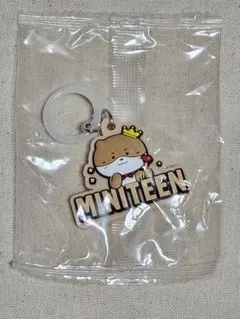 SEVENTEEN セブチ MINITEEN ガチャ ディノ チャンダリ