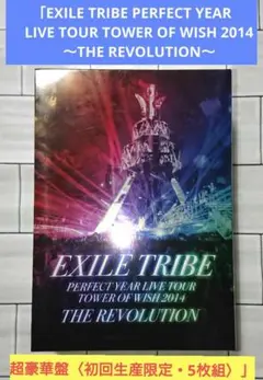 「EXILE TRIBE PERFECT YEAR LIVE TOUR」