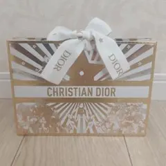 Dior 紙袋 ショッパー ホリデー ギフト プレゼント 2025