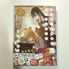 ある日、お姫様になってしまった件について 12