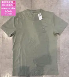 新品未使用‼️タグ付き‼️アバクロTシャツSサイズabercrombie&fitch