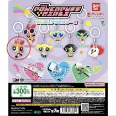 パワーパフガールズ めじるしアクセサリー ブロッサム