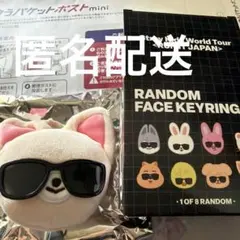 straykids RUN IT JAPAN フェイスキーリング フォクシニー
