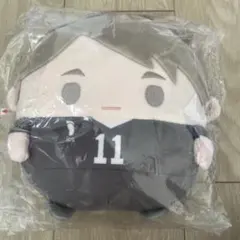 ハイキュー　ぬいくじ　C賞　宮治