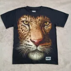 ミスチル 桜井着 Desigual 猿プリント Tシャツ グレー系 - メルカリ