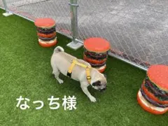 【23区】ブレスレット　ゴールドのサムネイル