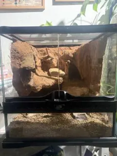 Item thumbnail for item a9938b1a-e639-4dc6-91da-e580007a8ec6