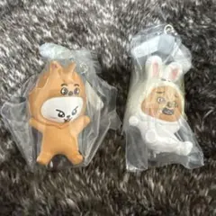 straykids スキズ SKZOO ガチャガチャ つまんでつなげてますこっと