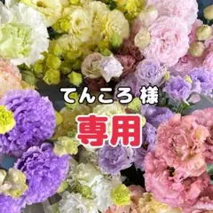 【てんころ様 専用】