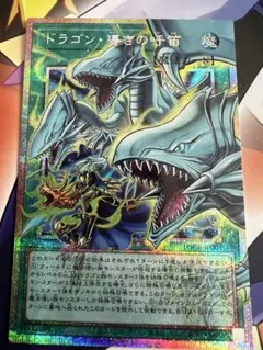 遊戯王　ドラゴン・導きの呼笛 オーバーフレームプリシク