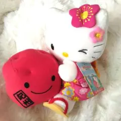 ご当地キティ　和歌山　紀州梅　ハローキティ　ぬいぐるみ　キティ　サンリオ