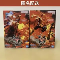 【匿名配送】戦光絶景ヤマト・エース