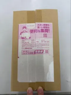 シュリンク付き megaドリームex box ボックス ポケモンセンター 当選品