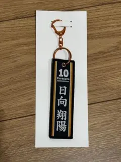 ハイキュー!! タイトーくじ 日向翔陽 フライトタグ キーホルダー
