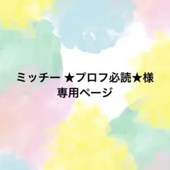 ミッチー ★プロフ必読★様専用ページ